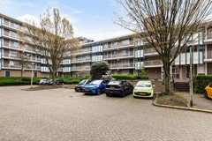 Zadkinerade 17_38.jpg